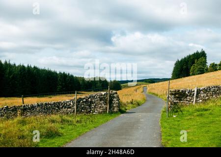 Ruhige Landstraße, die zur Quelle des Flusses Wharfe in Langstrothdale, Yorkshire Dales National Park, Großbritannien, führt Stockfoto