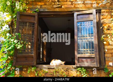 Die faule, gelbgefleckte Katze liegt schlafend auf der hölzernen Fensterbank. Eine alte architektonische Siedlung von Huizhou im Dorf Huangling, Wuyuan, Jiangx Stockfoto