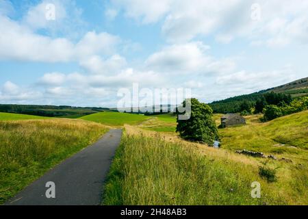 Ruhige Landstraße, die zur Quelle des Flusses Wharfe in Langstrothdale, Yorkshire Dales National Park, Großbritannien, führt Stockfoto