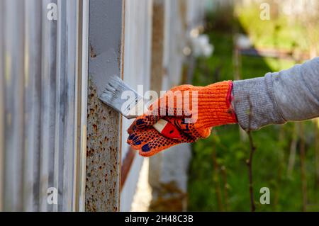 Malen des Zauns. Frauenhand, die mit einem Pinsel Stahlzaun malt Stockfoto