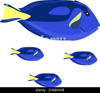Blaue Fische, Illustration, Vektor auf weißem Hintergrund. Stock Vektor