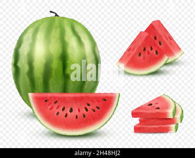 Wassermelone realistisch. Sammlung Scheiben gesunde natürliche Beere Wassermelone Frucht anständige Vektor-Illustration isoliert auf weiß Stock Vektor