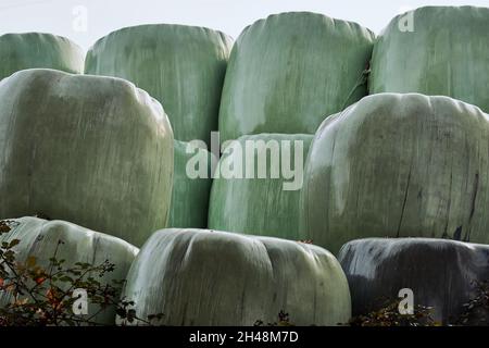 Nahaufnahme von gestapelten Heurollen in grüner Kunststoffabdeckung in Gaggenau, Deutschland. Stockfoto