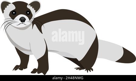 Frettchen-Tier, Illustration, Vektor auf weißem Hintergrund. Stock Vektor