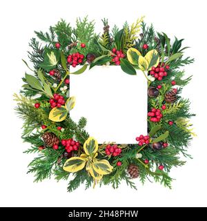 Natürliche abstrakte Weihnachten, Wintersonnenwende, Neujahrsgrundes mit Stechpalme und englischer Flora auf Weiß. Design-Element der Natur. Stockfoto