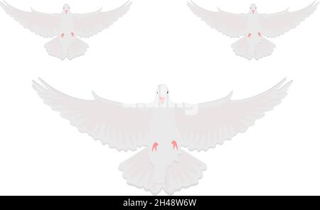 Fliegende Taube, Illustration, Vektor auf weißem Hintergrund. Stock Vektor