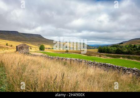 Blick nach Norden von der Straße durch Mallerstang Tal mit Wild Boar Fell und einem alten Stall auf der linken Seite, Yorkshire Dales National Park, UK Landschaft Stockfoto