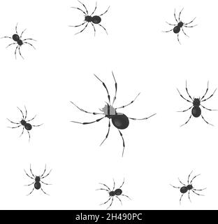 Spinneninsekt, Illustration, Vektor auf weißem Hintergrund. Stock Vektor