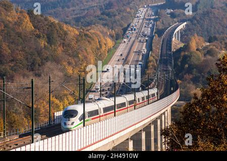 hochgeschwindigkeitszug ICE 3 der Deutschen Bahn AG auf der Hochgeschwindigkeitsstrecke von Frankfurt nach Köln, Autobahn A3, Hallerbachtalbrücke, Neustadt Wied, Rhein Stockfoto