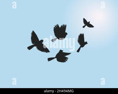 Sonnenfliegende Vögel. Freiheit Wildlife Vogel auf Sonnenuntergang oder Sonnenaufgang blauen Hintergrund gesetzt, Malerei Vogelschnur Skizze Grafik, Frühling Vogelbeobachtung Herde flyng Bewegung in Himmel niedlich Vektor-Illustration Stock Vektor