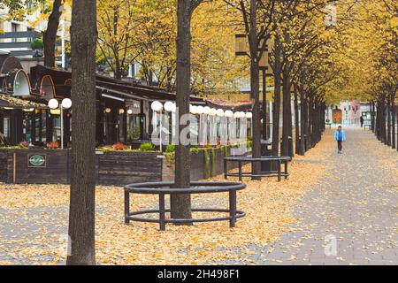Kungsträdgården, Stockholm, Schweden Herbstwetter, gelbe Blätter, Alte Architektur Stockfoto