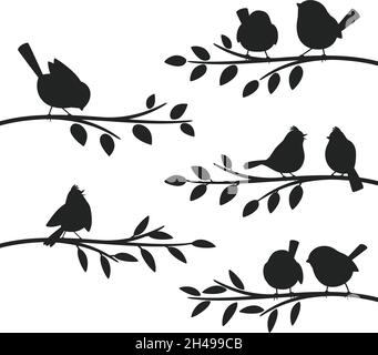 Vögel verzweigt Silhouetten. Vogel auf Blätter Zweig Silhouette Ornament gesetzt, Starling jay Sperling Titmaus sitzt auf verzweigten Baum Kommunikation Konzept Vektor Illustration auf weiß Stock Vektor