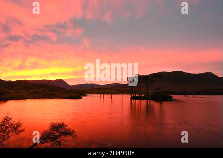 Atemberaubender Sonnenaufgang über Loch Assynt in Sutherland, Schottische Highlands. Auf der NC500-Route. Silhouetten von Bäumen auf der Insel am loch, Hügel im Hintergrund. Stockfoto