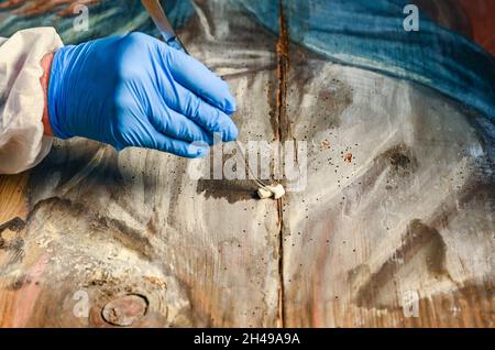 01. November 2021, Brandenburg, Wünsdorf: Ein Restaurator in der Restaurierungswerkstatt des Landesamtes für Denkmalpflege und Archäologisches Landesmuseum (BLDAM) arbeitet mit einer Pinzette und einem Tupfer an einem Figurenbild eines Barocktheaters aus dem Kloster Neuzelle. Dank der großzügigen, langfristigen Unterstützung durch die Beauftragte der Bundesregierung für Kultur und Medien (BKM), die Ostdeutsche Sparkassenstiftung mit der Sparkasse oder-Spree und der Bereitschaft des Bundesministeriums für Wissenschaft, Forschung und Kultur (MWFK), des Landesamtes für Denkmalpflege Brandenburg und des Landesarchaeolo Stockfoto