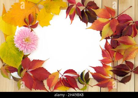 Herbstlicher Rahmen aus Blättern und Blumen auf einem weißen Blatt Papier. Herbstmotto. Rote Blätter auf einem Hintergrund von Holzbrettern Draufsicht. Stockfoto