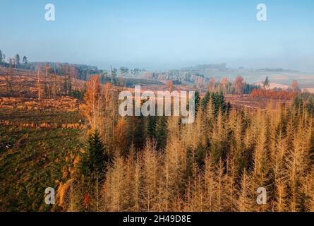 Luftaufnahme der Landschaft bei Sonnenaufgang im Herbst, traditionelle Herbstlandschaft mit aufgehender Sonne in Mitteleuropa. Nebliger und nebliger Sonnenaufgang. Gefrorene Landschaft Stockfoto