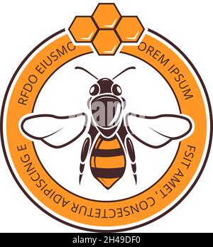 Design mit Vintage-Bienenlogo. Honigwaben und Wespen, Retro-Aufkleber mit neuer Honigernte. Vektorabzeichen für den Markt für ländliche Landwirtschaft Stock Vektor
