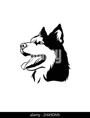 Logo Hund. Abbildung des Husky-Kopfes. Wolf-Emblem. Stockfoto