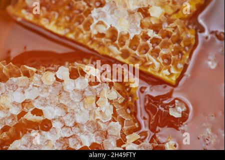 Essbarer Bienenwabenhonig Stockfoto