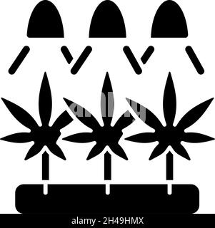 Schwarzes Glyphen-Symbol für den Cannabisanbau Stock Vektor