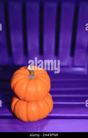 Zwei kleine orange Kürbisse übereinander gestapelt sitzen im Herbst/Herbst auf einem lila Plastikstuhl Stockfoto