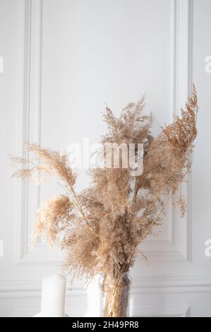 Trockenes Gras in Glasvasen-Dekor über weißer Wand. Abstrakter natürlicher Hintergrund, Platz für Text. Stockfoto