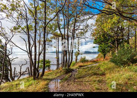 Blick von Far Arnside über die Morecambe Bay in Richtung Grange-over-Sands, Cumbria, Großbritannien. Stockfoto