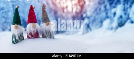 Drei niedliche Gnome in der Schneeverwehung im Winterwald. Stockfoto