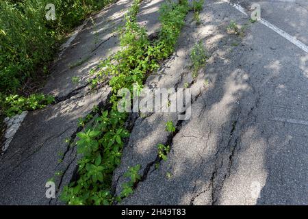 Geschwollener Asphalt. Die zerstörten Folgen der Straße des natürlichen Kataklysmus des Erdrutsches des Bodens. Asphalt durch Erdrutsch verschoben. Stockfoto