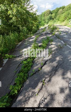 Geschwollener Asphalt. Die zerstörten Folgen der Straße des natürlichen Kataklysmus des Erdrutsches des Bodens. Asphalt durch Erdrutsch verschoben. Stockfoto