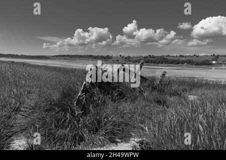 Der verfallene Rumpf eines Schiffes, Purton Schiffe Friedhof an der Severn Mündung Gloucestershire UK. Juli 2021 Stockfoto