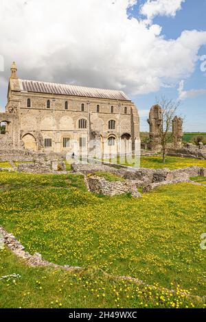 Butterblumen im Mai im St. Mary's Priorat, einem Benediktiner-Priorat, das 1091 gegründet wurde, im Dorf Binham, Norfolk, Großbritannien Stockfoto