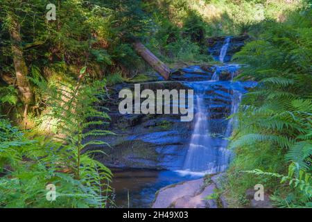 Blaen y Glyn ISAF auf dem Talybont Waterfalls Walk, Talybont Wales Großbritannien. Juli 2021 Stockfoto