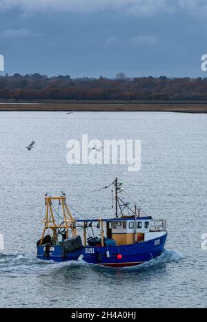 Kleiner Küstenfischtrawler, britischer Fischfang, britischer Trawler, Fischtrawler, Trawling, trawler, der zum Hafen zurückkehrt, Fischtrawler auf See, Küstenfischer Stockfoto