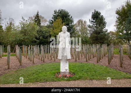 Das „Shot at Dawn“-Denkmal im National Memorial Arbouretum, Staffordshire, Großbritannien. Eine Statue eines jungen britischen Soldaten stellt den privaten Herbert Burden dar, einen der Männer, die im Morgengrauen des Ersten Weltkriegs wegen eines Regelbruchs angeschossen wurden. Heute verstehen wir, dass viele der Hingerichteten wahrscheinlich unter Kampfstress litten. Dies war 1917 als „Shell Shock“ bekannt, wurde aber erst vor kurzem wirklich verstanden. Die Statue wurde von Andy DeComyn modelliert. Holzpfähle stehen in einem Halbkreis, der die Namen einiger auf diese Weise Getöteten enthält. Stockfoto