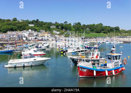 Fischerboote und Yachten im Hafen der Jurassic Coast bei Lyme Regis Dorset England GB Europa Stockfoto