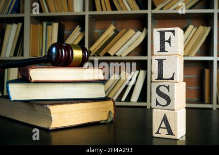 Bücher, Gavel und Würfel mit FLSA oder Fair Labor Standards Act. Stockfoto