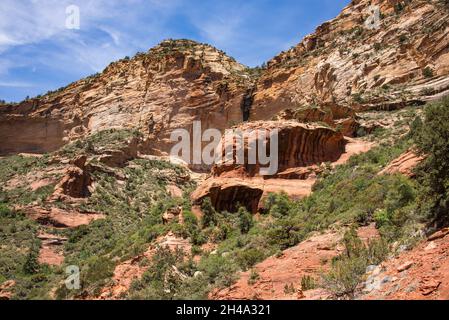 Atemberaubende Landschaften entlang des Boynton Canyon, Sedona, Arizona, U. S. A. Stockfoto