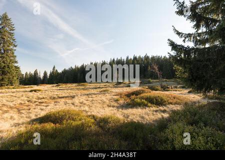 Schachten im Bayerischen Wald, Schachten im Bayerischen Wald Stockfoto