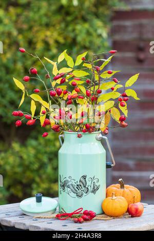 Bouquet mit Hagebutten und Blättern in Jahrgangsmilchkisten Stockfoto