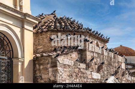 Viele Tauben auf dem Kirchendach. Stockfoto