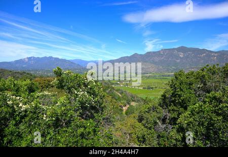 Wunderschöne Quelle im Ojai Valley, Ventura CA Stockfoto