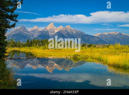 Wunderschöne Spiegelung der Grand Teton Mountain Range im Wasser bei Schwabacher Landing am Snake River in Wyoming Stockfoto