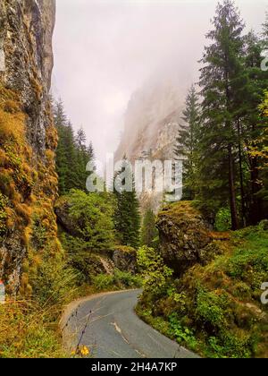 Trigrad, Rhodopen, Bulgarien, Plovdiv, Herbst Stockfoto