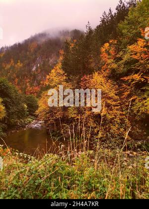 Trigrad, Rhodopen, Bulgarien, Plovdiv, Herbst Stockfoto