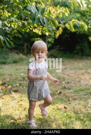 Ein kleines Mädchen in Shorts und Sandalen spaziert im Sommergarten auf dem Gras. Lustige geschwollene Wangen Stockfoto