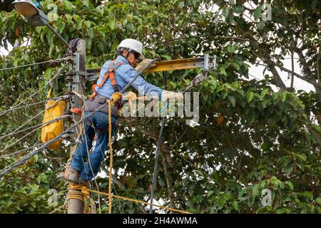 Elektriker, der an einem elektrischen Pol arbeitet. Elektriker Austausch, Reparatur und Installation der Stromleitung am Strommast. Helm, Gurtzeug, Hüftgurt und Stockfoto