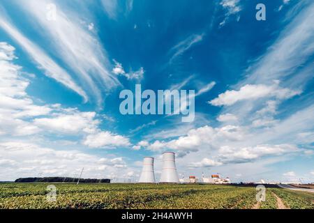 Feld in der Nähe des Atomkraftwerks im Ostrovetsky Bezirk.Feld um das Atomkraftwerk. Weißrussland. Stockfoto