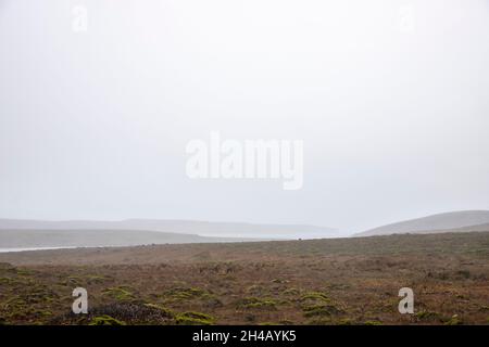 Point Reyes National Seashore ist un Marin County an der Pazifikküste von Nordkalifornien in den Vereinigten Staaten. Stockfoto