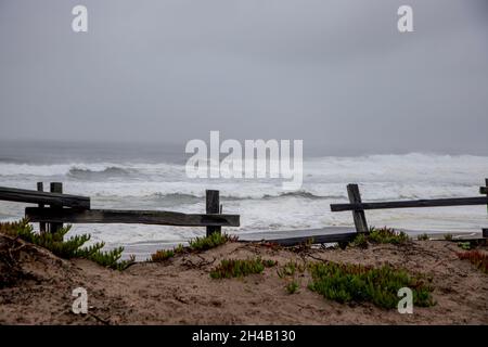 Point Reyes National Seashore ist un Marin County an der Pazifikküste von Nordkalifornien in den Vereinigten Staaten. Stockfoto